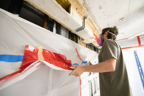 Best Forensic Mold Investigation  in Holden, MO