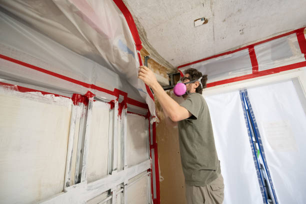 Best Post-Construction Mold Inspection  in Holden, MO
